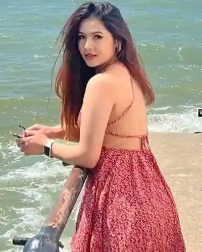 Amritsar Escort Service